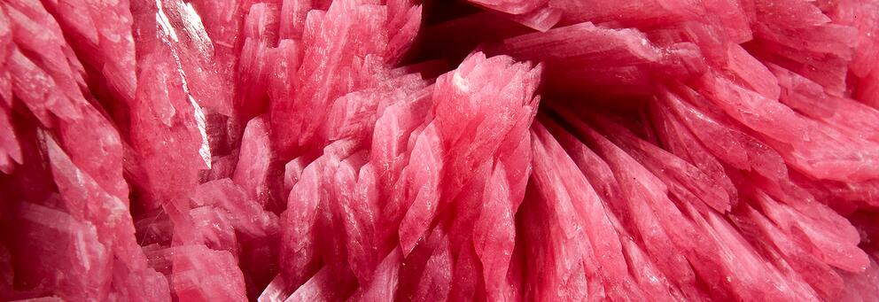 Informations pratiques